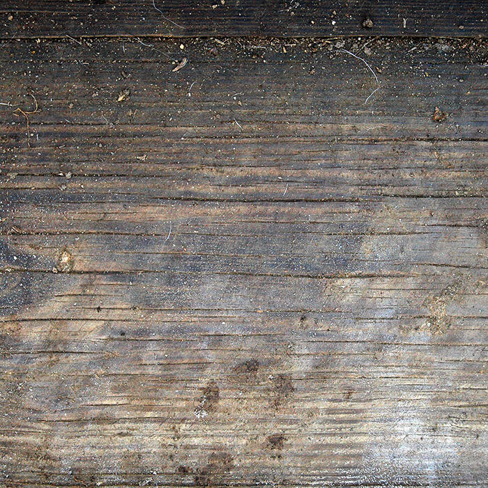 We're Gonna Kill Billy